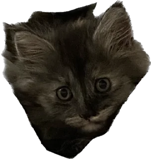 😯