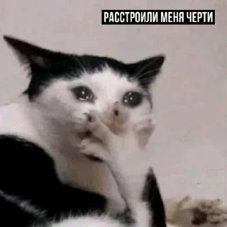 😢