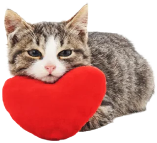 ❤️