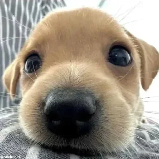 😅