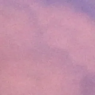 😎