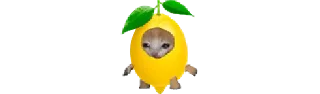 🍋