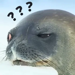 🤔