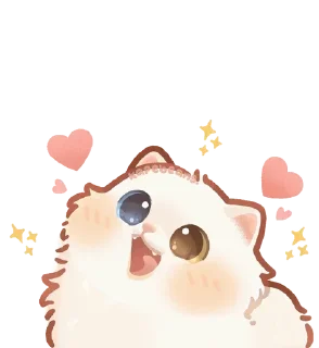 🌟