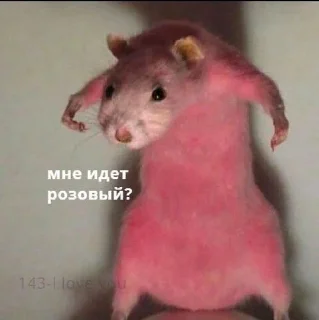 ❔