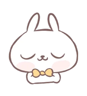 🐼