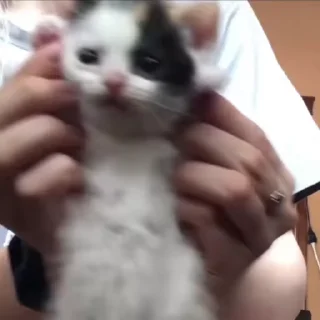 🙃