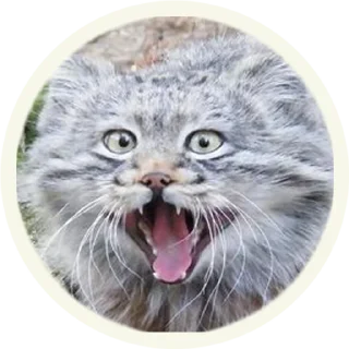 😄