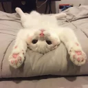 🤗