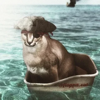 😎