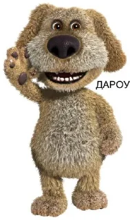 🐶