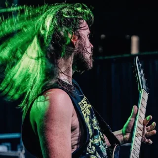 🎸