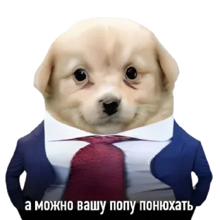 😎