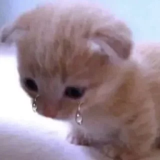 😢