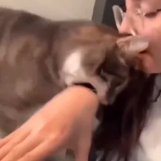 🐈