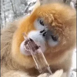 🧊