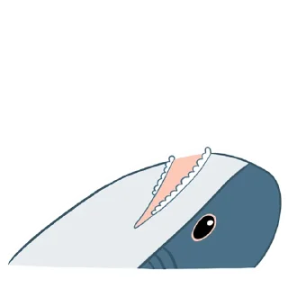 🐬