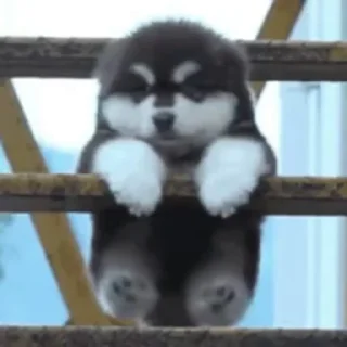 🙂