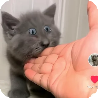 👍