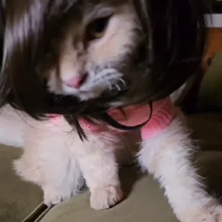 💇‍♀️