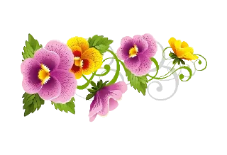 🌸