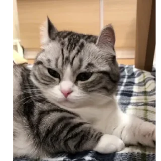 🥰