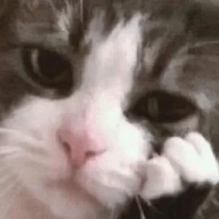 😕