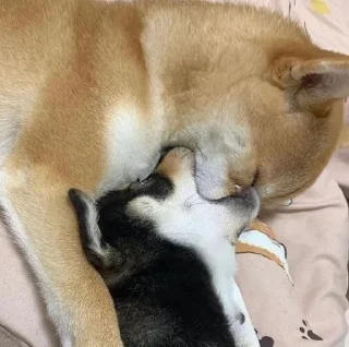 💞
