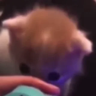 😇