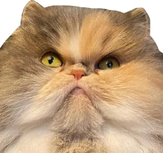 😠