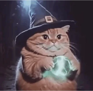 🧙‍♂️