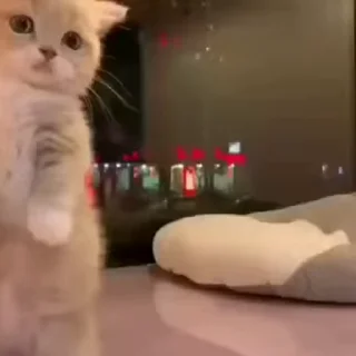 💨