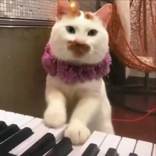 😁
