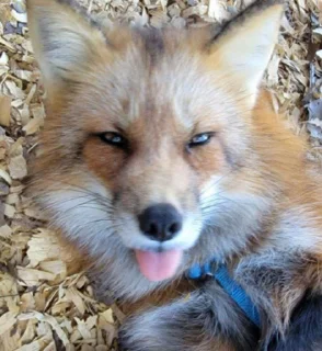 😝