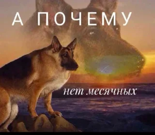 🐕