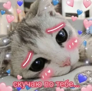 🥺