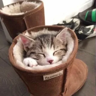 😴