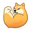 💪