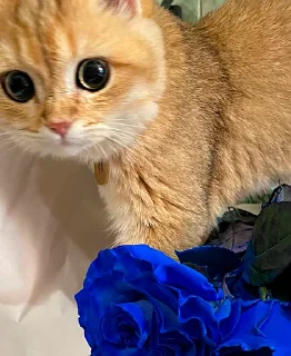 😮