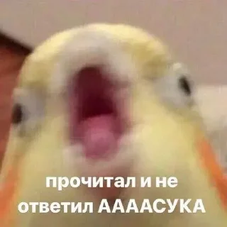 ✉️