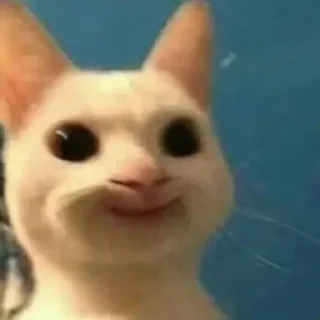 😎