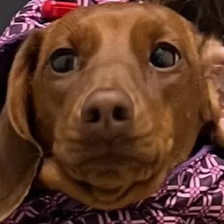 🤨