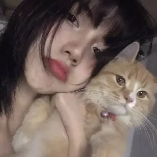 как же я лбблю кореяночек @nkplz