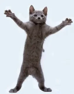 💃