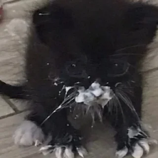 🥄