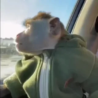 😳