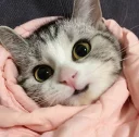 😌