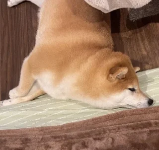 🙁