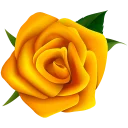 🌺
