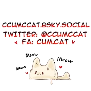 🐱